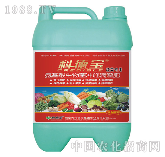 �߲ˌ��ð�����������_ʩ�ι��-�Ƶ�