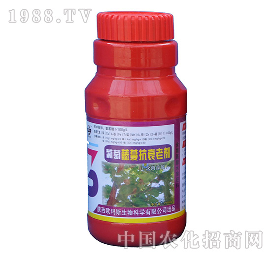 ����������˥�τ�-�W��˹