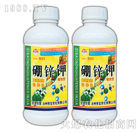 1000g���\�-�挚�r��