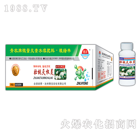 80g���Ҝ���`-�挚�r��