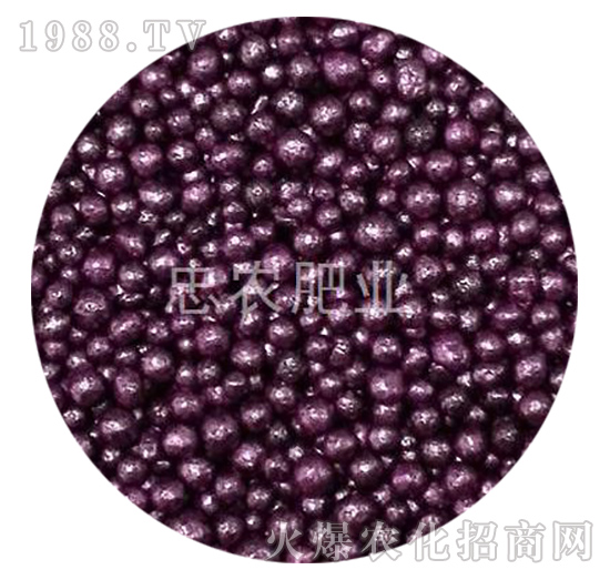 �ϼtɫ��֬�����ЙC(j��)��-���r(n��ng)�ʘI(y��)