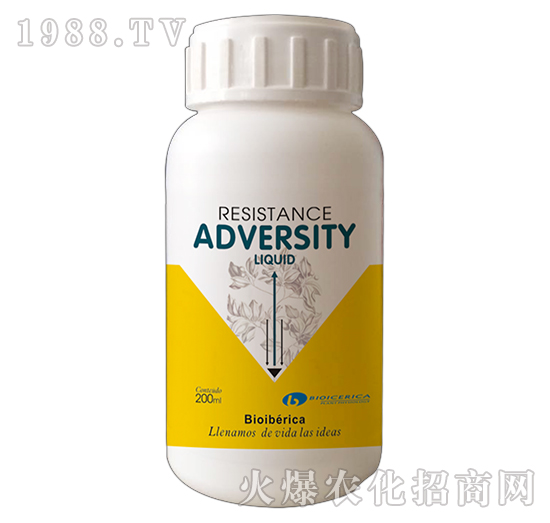 ���ܟo��-��ɪ��