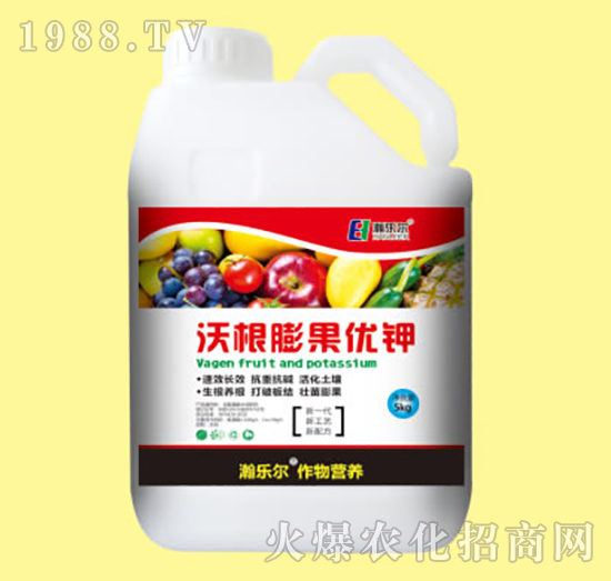 �ָ������(y��u)�-嫘���