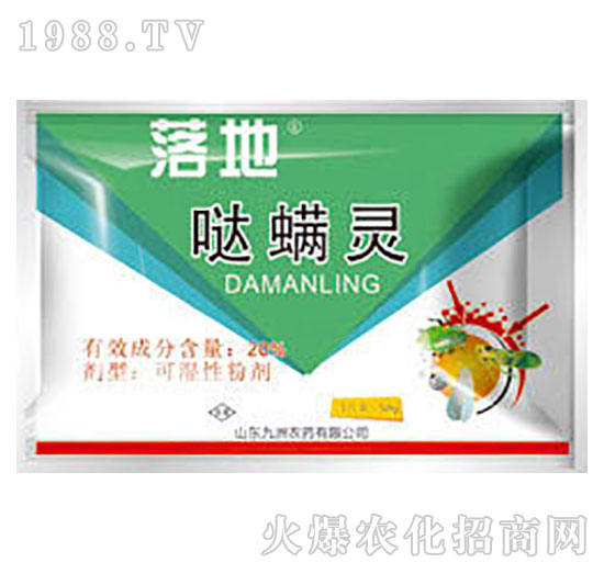 20%�}���`-���-�읙����