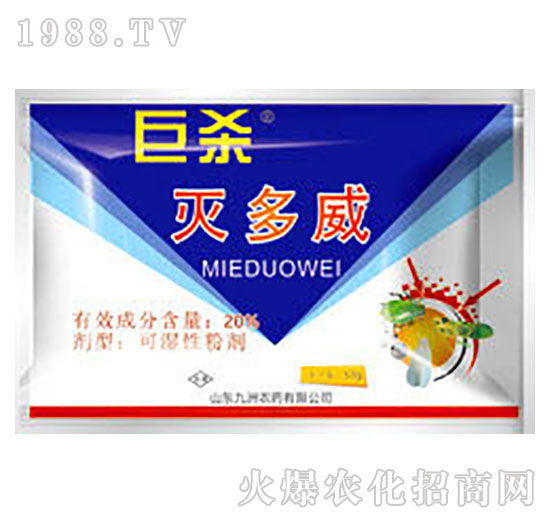 20%�����-�ޚ�-�읙����