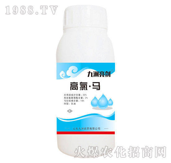 20%�����R-��������-�읙����