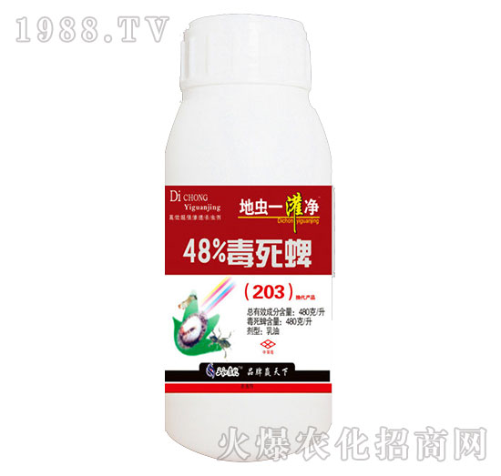 48%������-���xһ����-�읙����