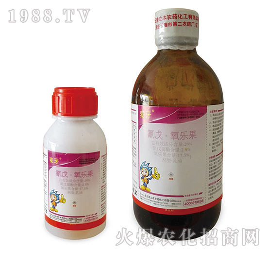 20%��������(l��)������-����-��������