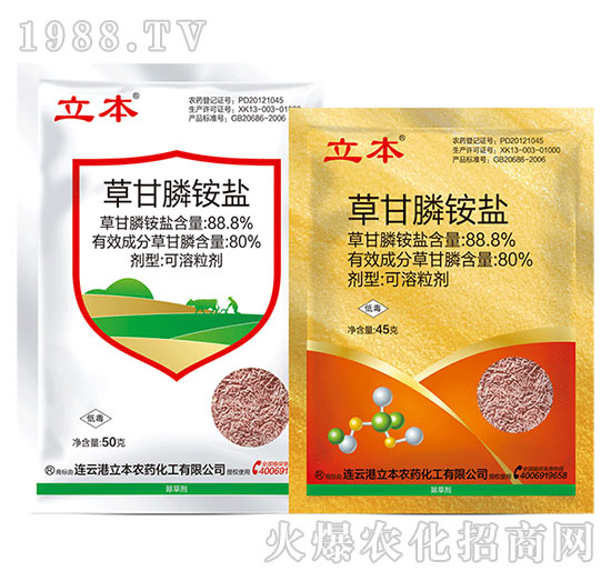 88.8%�ݸ���@�}-��������