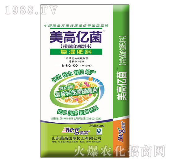 ���߃|���ͻ����17-17-17-����