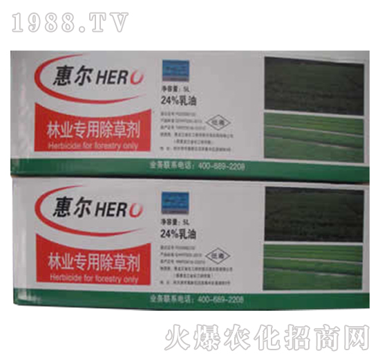 ���Ԍ��ó��݄�-�ݠ�-�G��