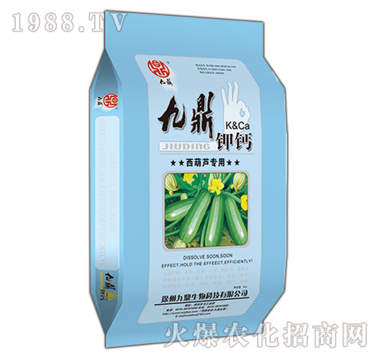 �����J���þŶ���}-�ذ�Ȫ