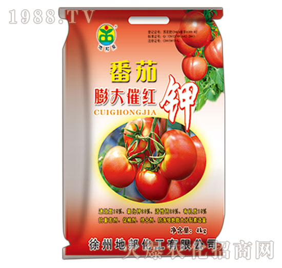 �������߼t�-�ذ�Ȫ