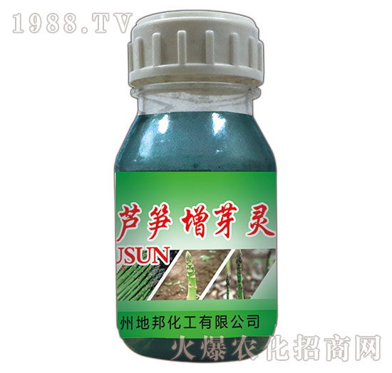 �J�S��ѿ�`-�ذ�Ȫ