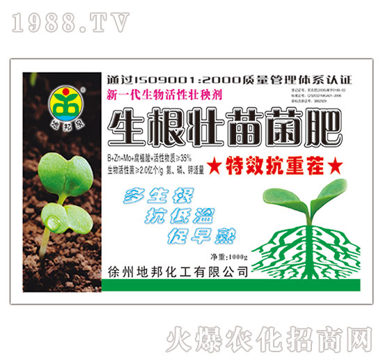 �����������-�ذ�Ȫ