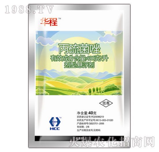 48%�������-�A�Ѓ�(y��u)-�A�̻���