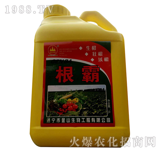 ����-��ɽ����