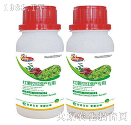 �t���������a����-�r�_����