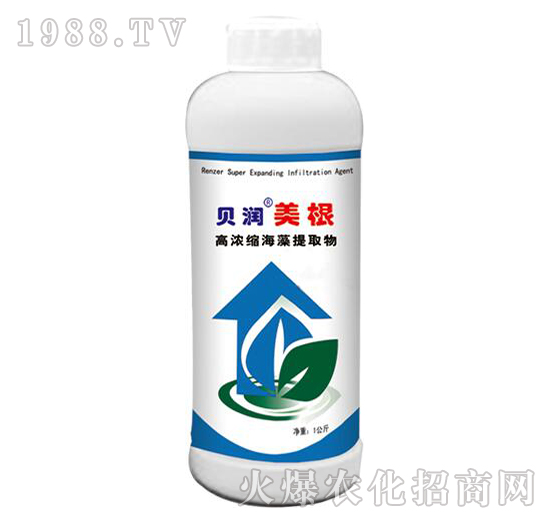 �ߝ�s������ȡ��-ؐ������-ɭ��