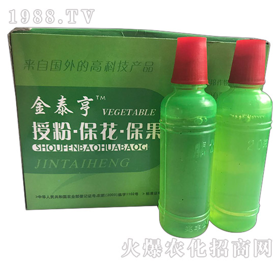 ��̩��-�ڷ۱���������