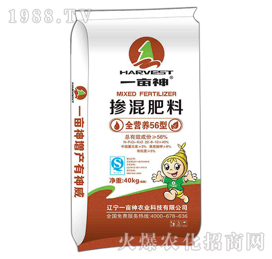 ȫ�I�B(y��ng)56�͓������22-8-10-һ����