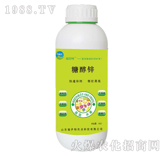 �Ǵ��\-������-������