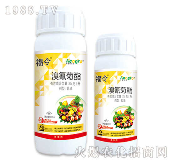 25��ÿ��-����-���¿��r(n��ng)