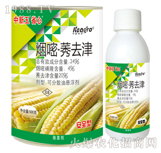 24%���ס�ݬȥ��-������ʡ��-���¿��r(n��ng)