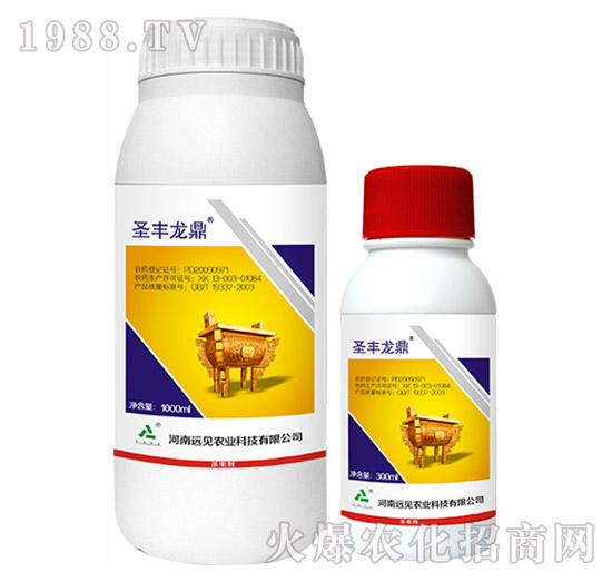 5%���S����-ʥ�S����-�hҊ�r(n��ng)�I(y��)