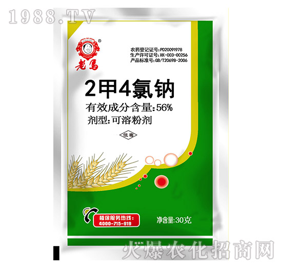 56%2��4�ȼ{-���R-�����r�I(y��)