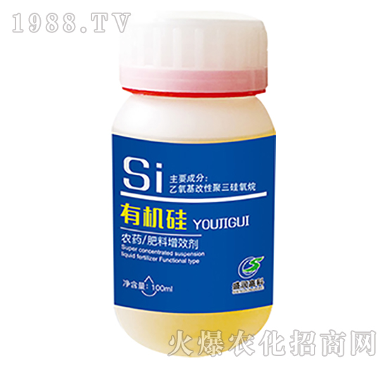 �ЙC(j��)��-ʢ���߿�