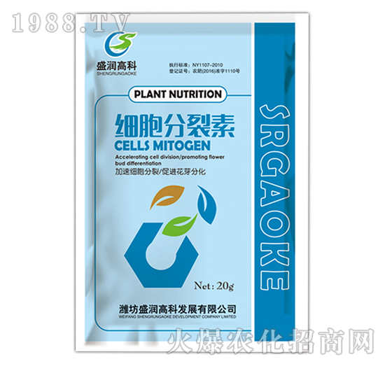 ��(x��)��������-ʢ��(r��n)�߿�