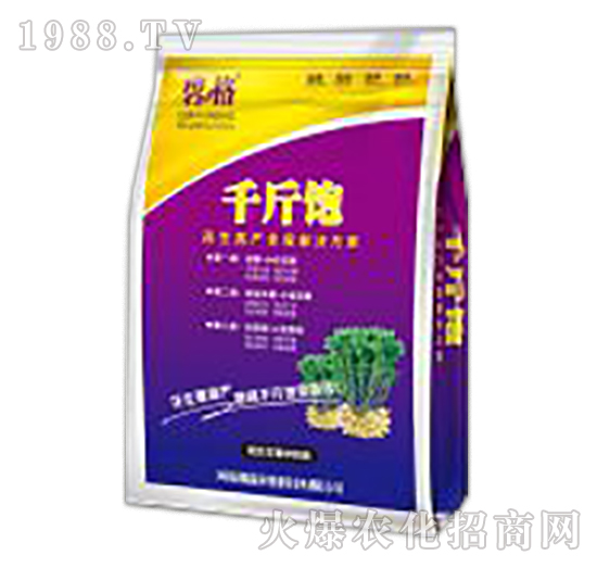 �����߮a(ch��n)ȫ�̽�Q����-�̸�-�ɭ�r(n��ng)�I(y��)