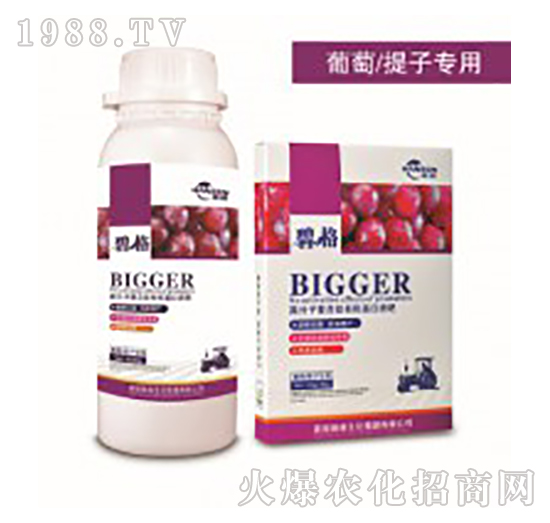 �������ӌ�(zhu��n)�ø߷��ӏ�(f��)�����ЙC(j��)����Һ��-�̸�-�ɭ�r(n��ng)�I(y��)