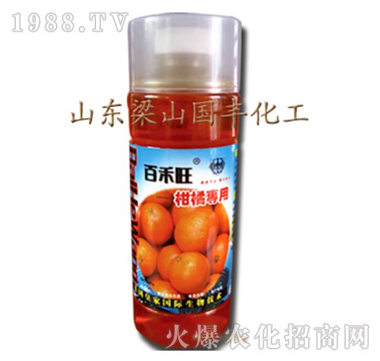 ���ٌ����~���-��ɽ���S