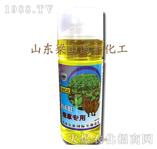 ���݌����~���-��ɽ��(gu��)�S