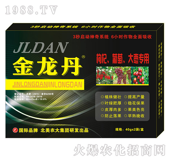 ������-������������󗗌���-�����r��