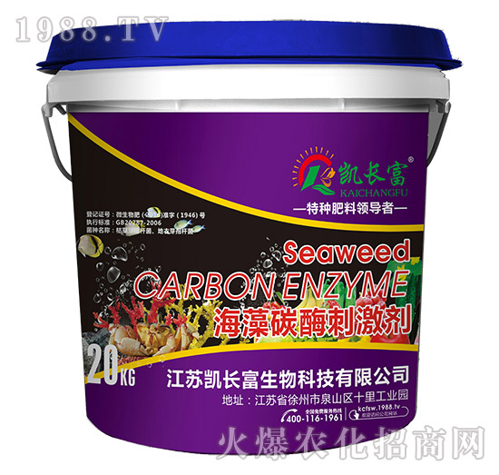 ����̼ø�̼���-�P�L��