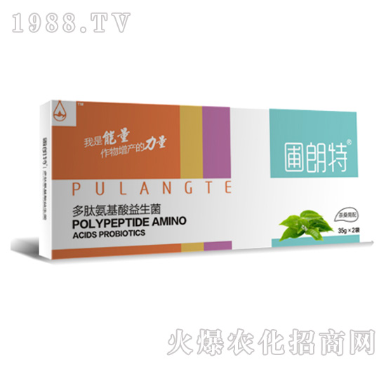 ��ɣ����-���İ�����������-������