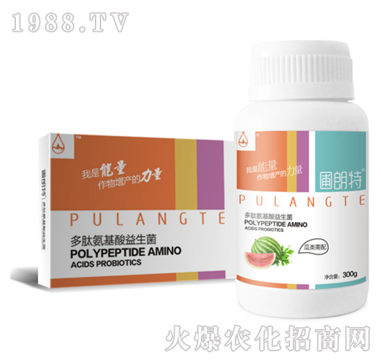 ���(l��i)����-���İ�����������-������