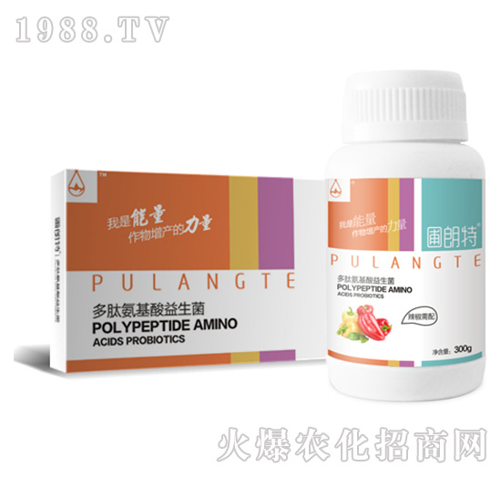 ��������-���İ�����������-������