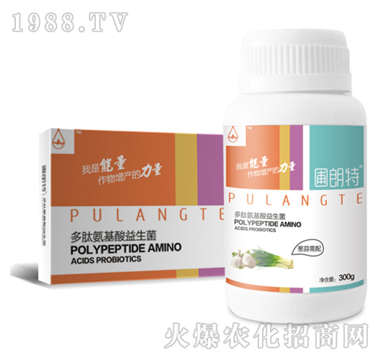 �[������-���İ�����������-������