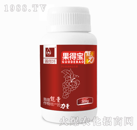 ���Ì���ƿ��-������