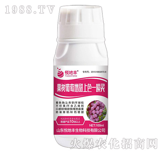 ����(sh��)����һ���`-�����S