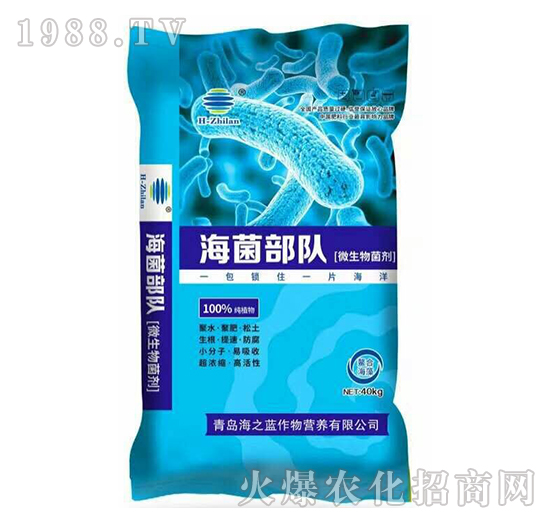 ΢�������-�������-��֮�{(l��n)