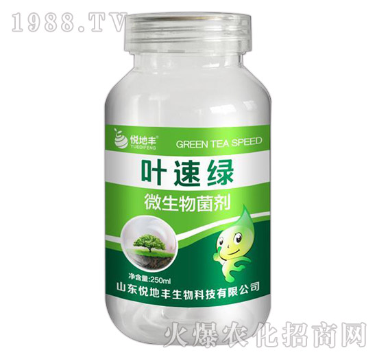 ΢�������-�~�پG-�����S