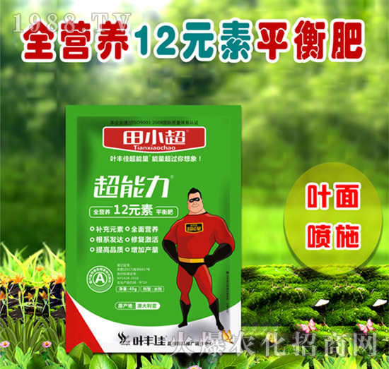 ȫ�I�B(y��ng)12Ԫ��ƽ���-��С��������