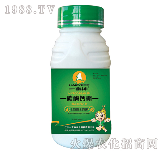 ̼ø�}��-һ����