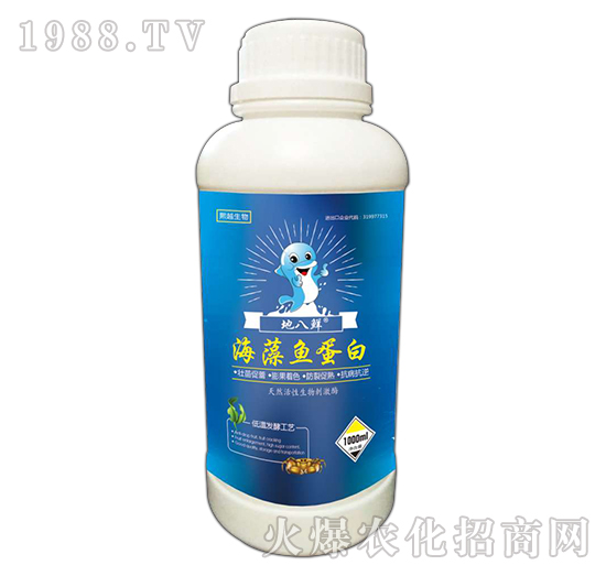 �����~����-�ذ��r-��Խ����