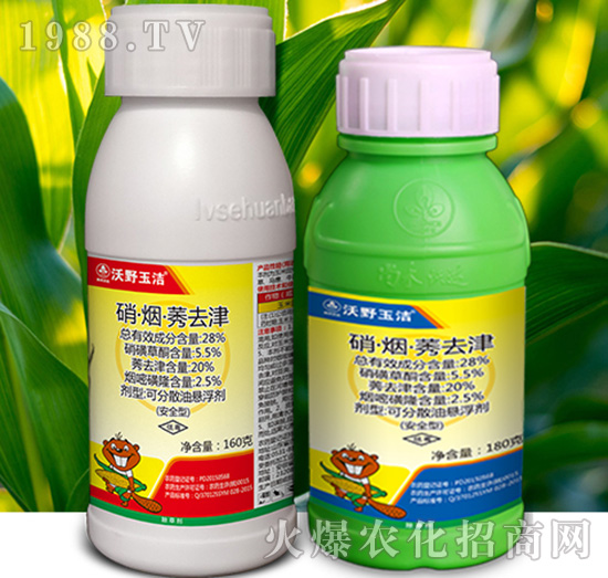 28%��������ݬ-��Ұ��-�к����_